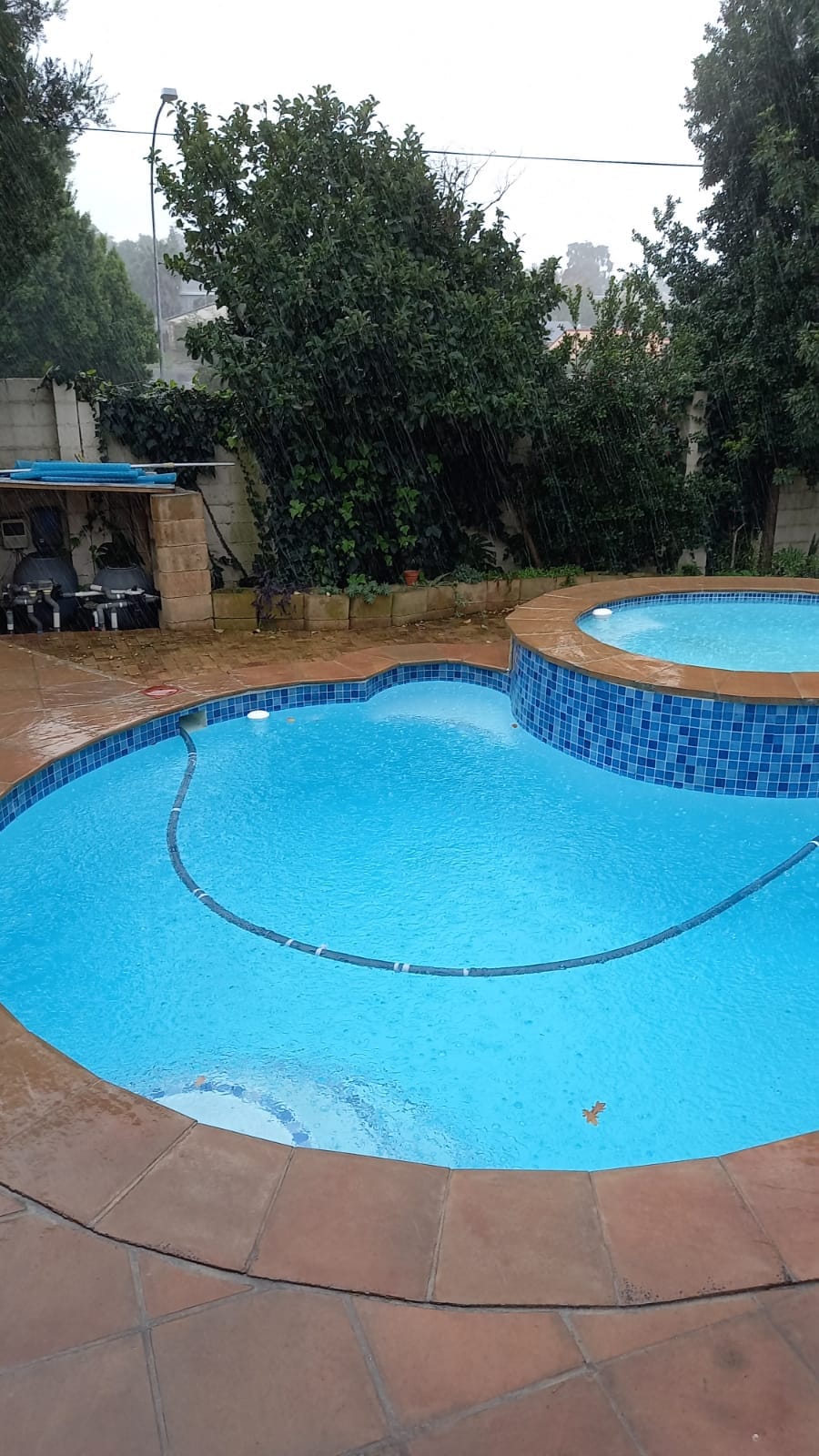 WhatsApp Image 2022-03-31 at 7.58.57 PM (1)